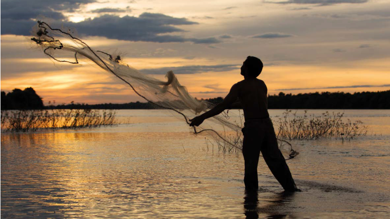 Casting net