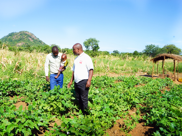 Julius and SCIAF partner