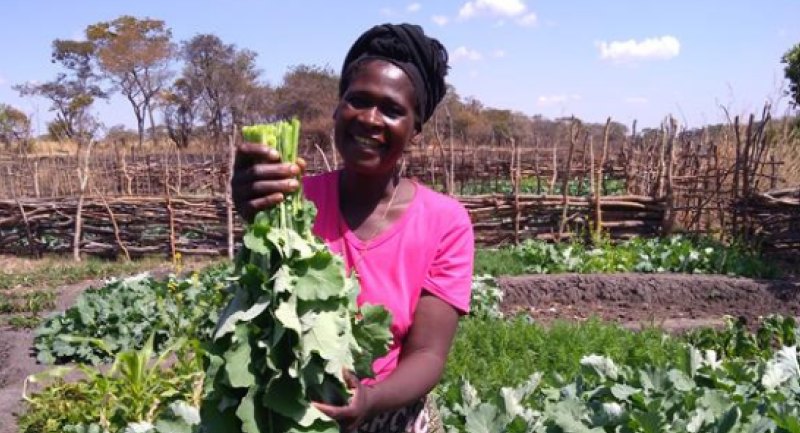 Kumena project - Zambia 