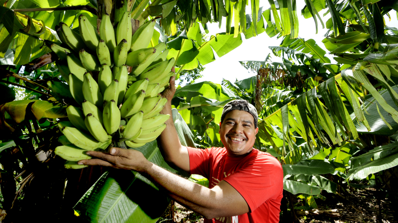 Michael Alfredo Aburto - El Salvador