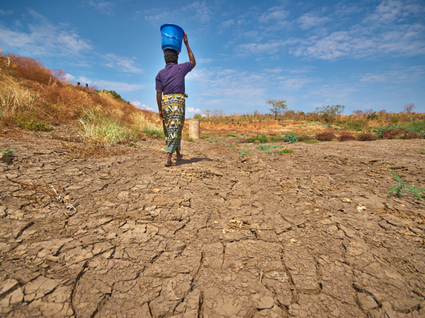 Climate change - banner image