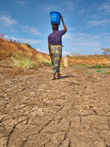Climate change - banner image