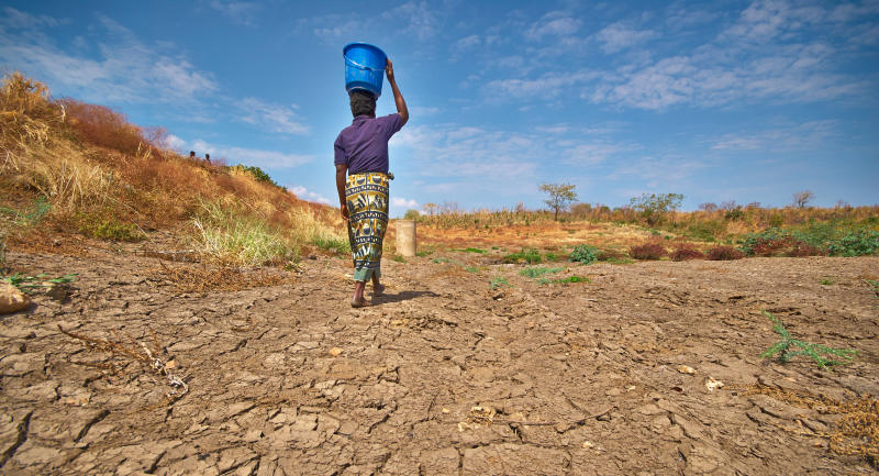 Climate change - banner image