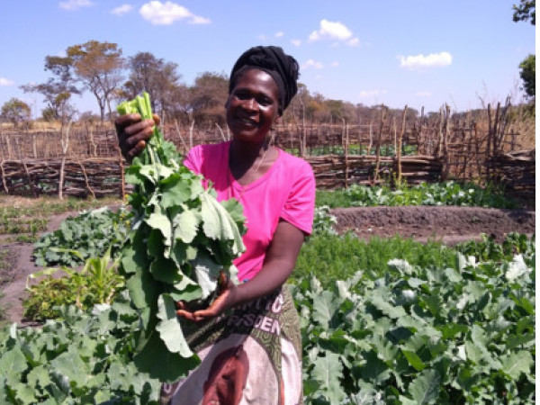 Alice - Zambia drought - 2019 2