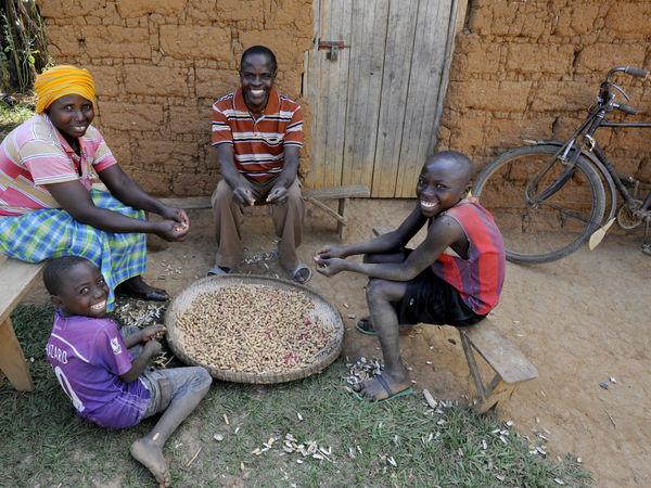 Nsabimana Augustine and Niyomizeye Beathe Nut Farmers - Rwanda