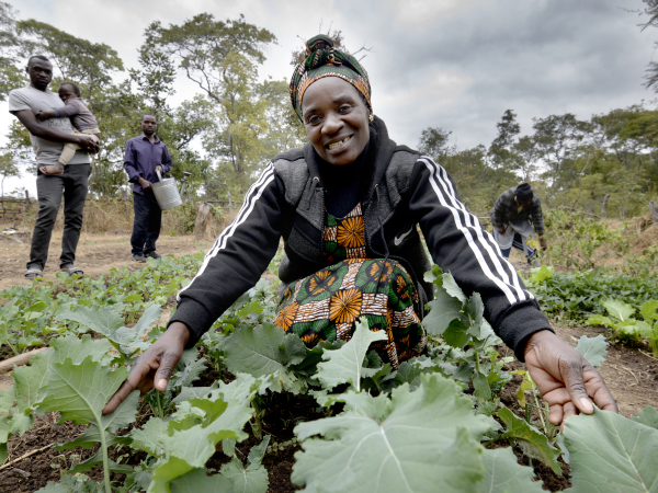 Emeldah farming - Zambia 2022