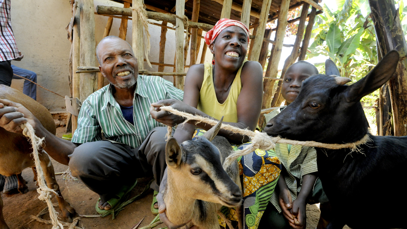 CDJP Kigali Villages Goat farmers Rwanda