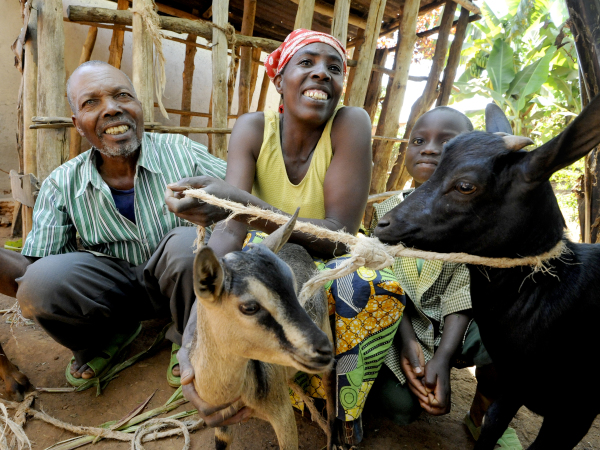 CDJP Kigali Villages Goat farmers Rwanda