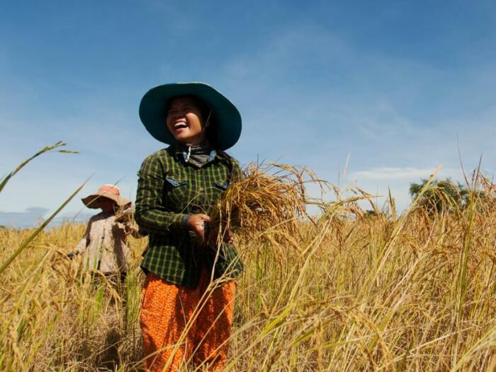 Cambodia