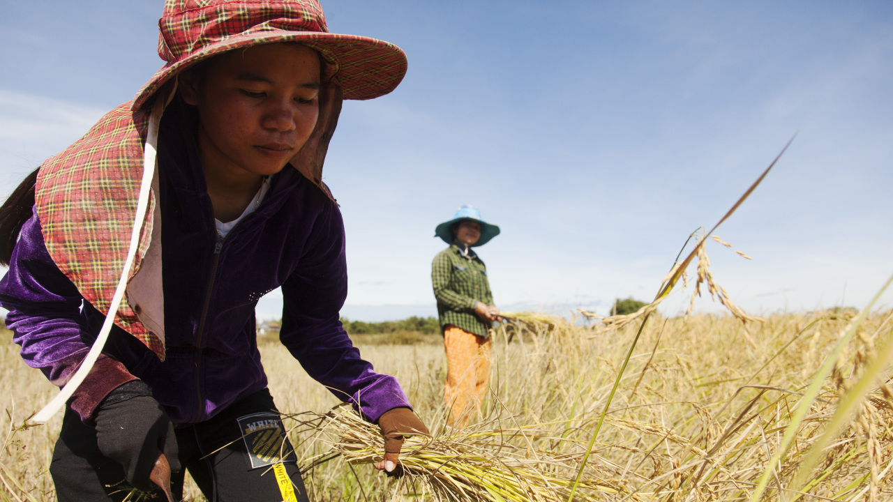 Stung Treng - Cambodia - daily life