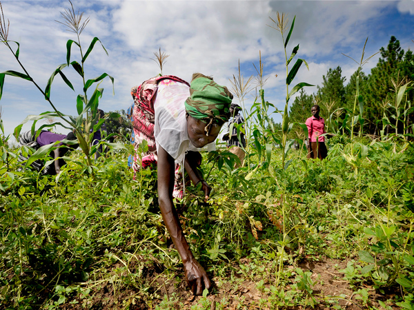 HUNGER Awatlela Village Uganda