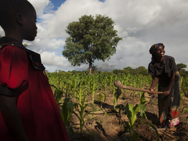 Zambia