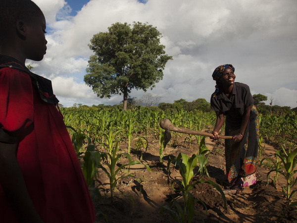 Zambia