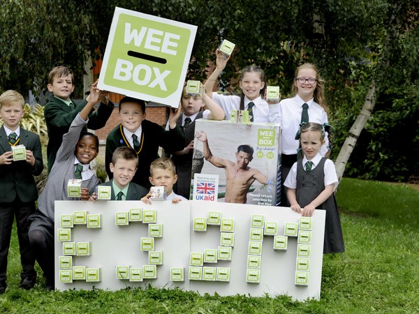 Wee box 2018