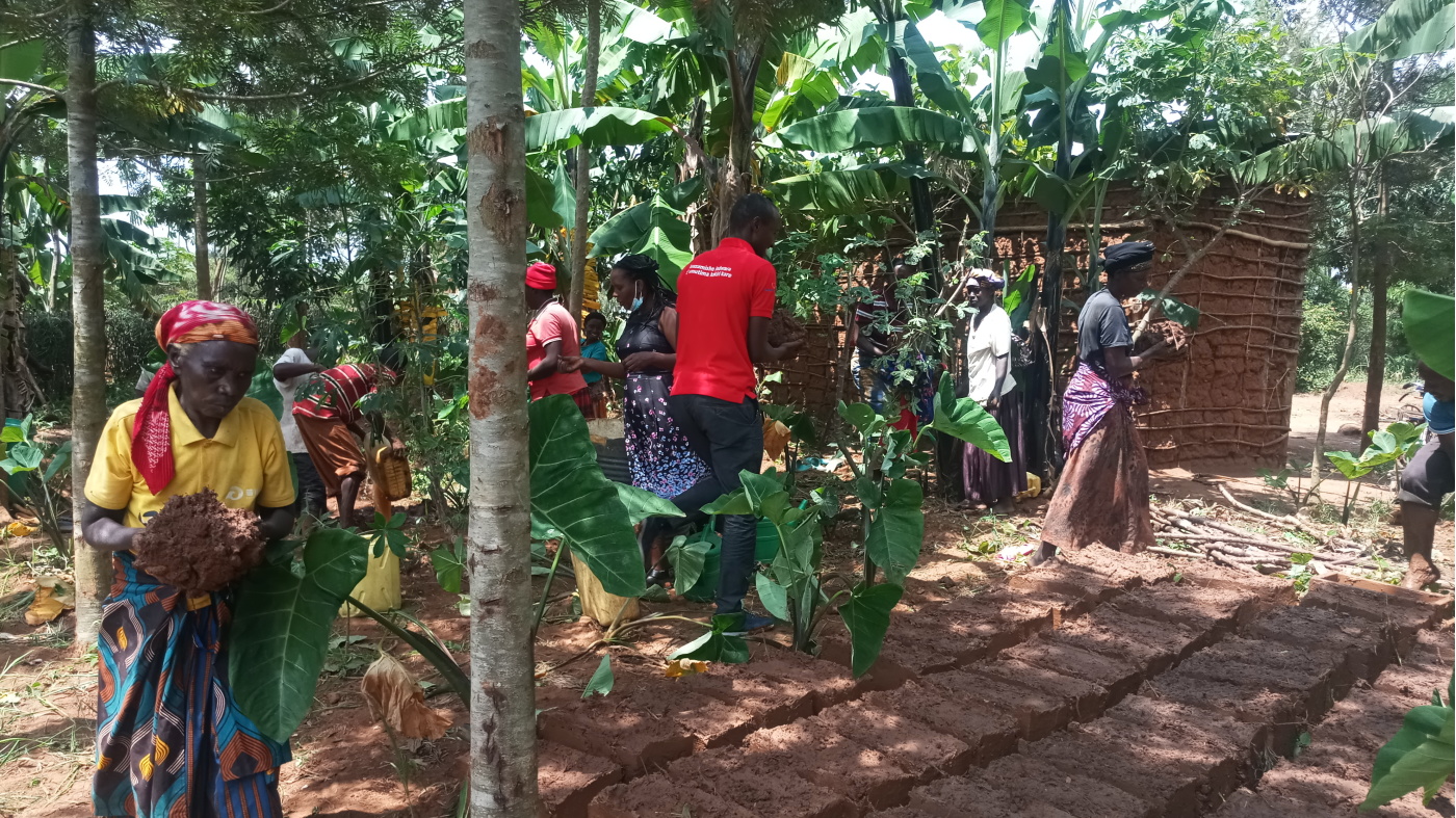 Rwanda story