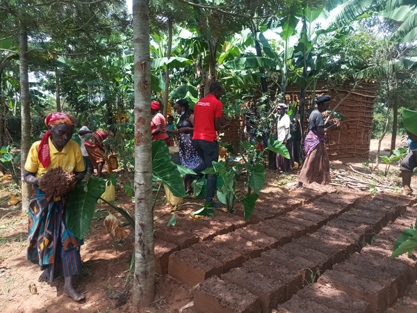 Rwanda story