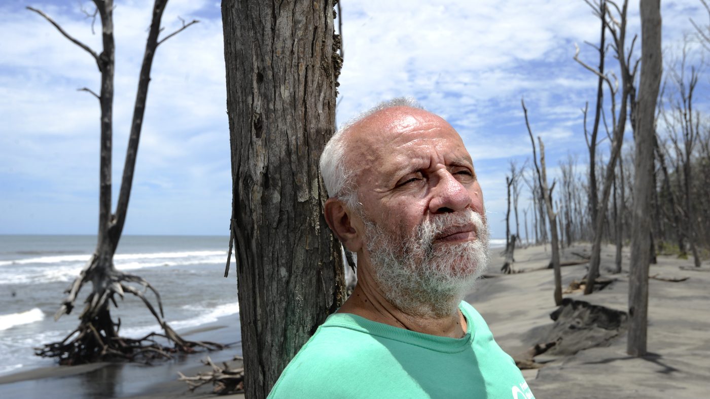Dr Navarro El Salvador