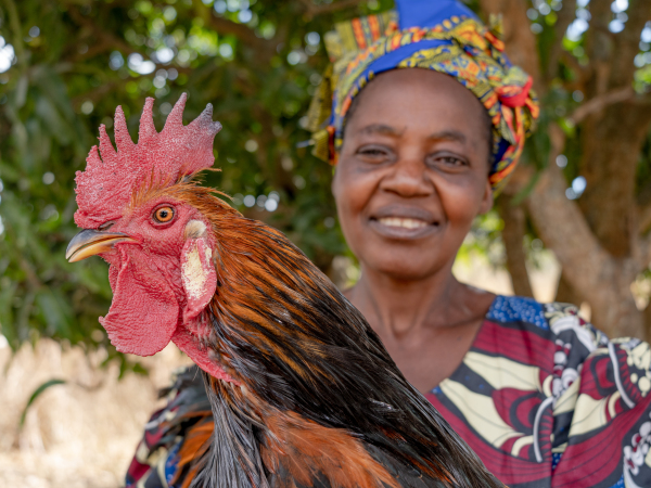 Zambia Caritas kabwe chicken