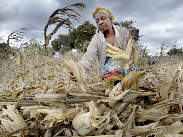 Euronica Climate Change crops field Zambia