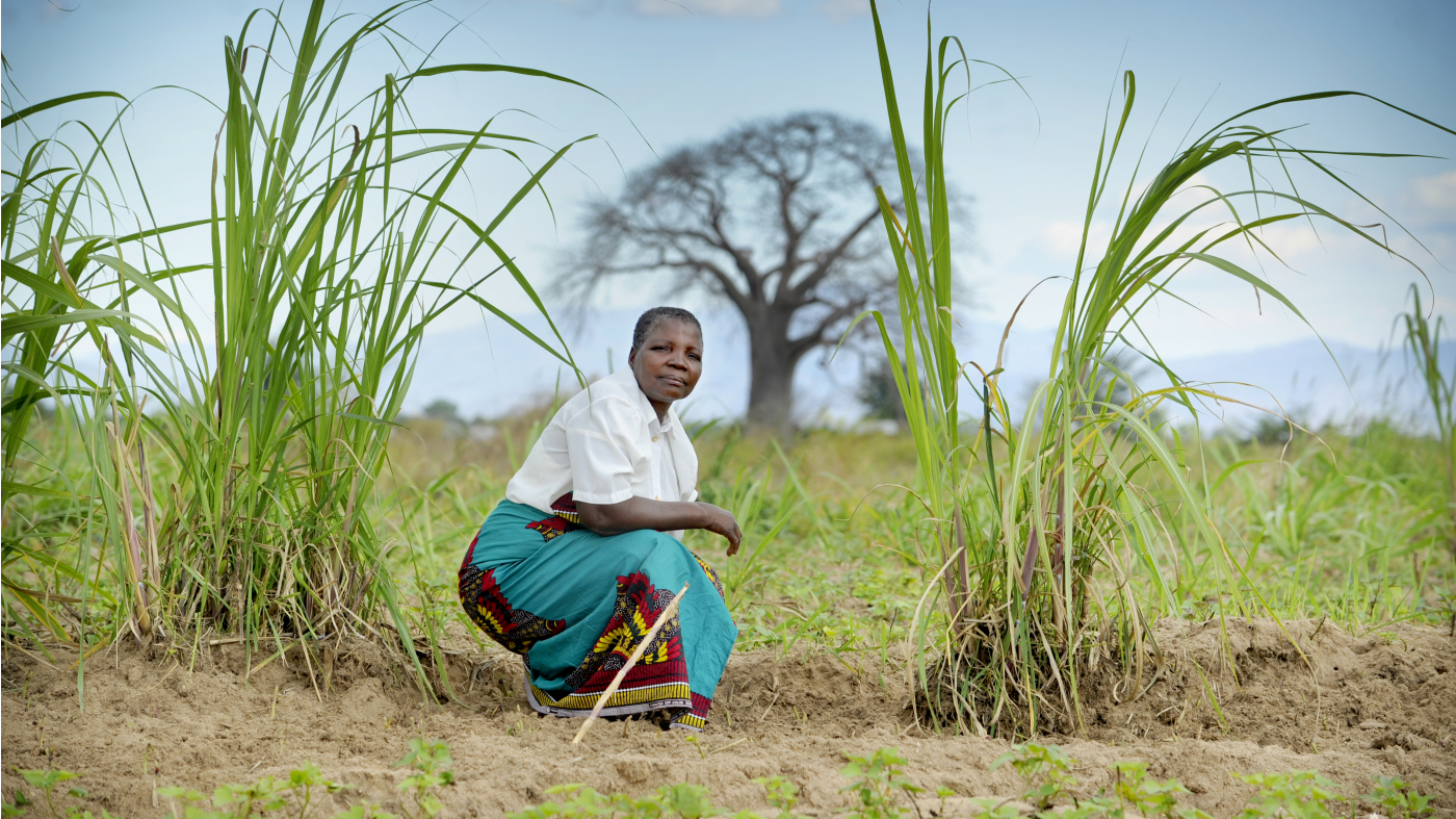 Malawi 2022 Climate Change - First for Justice - Sofia Malambe 