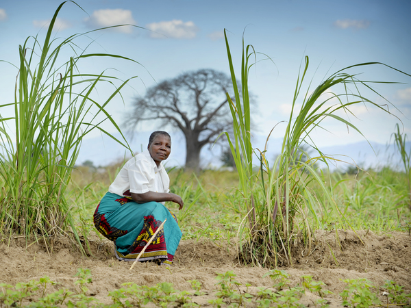 Malawi 2022 Climate Change - First for Justice - Sofia Malambe 