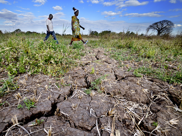 Malawi 2022 Climate Change 15