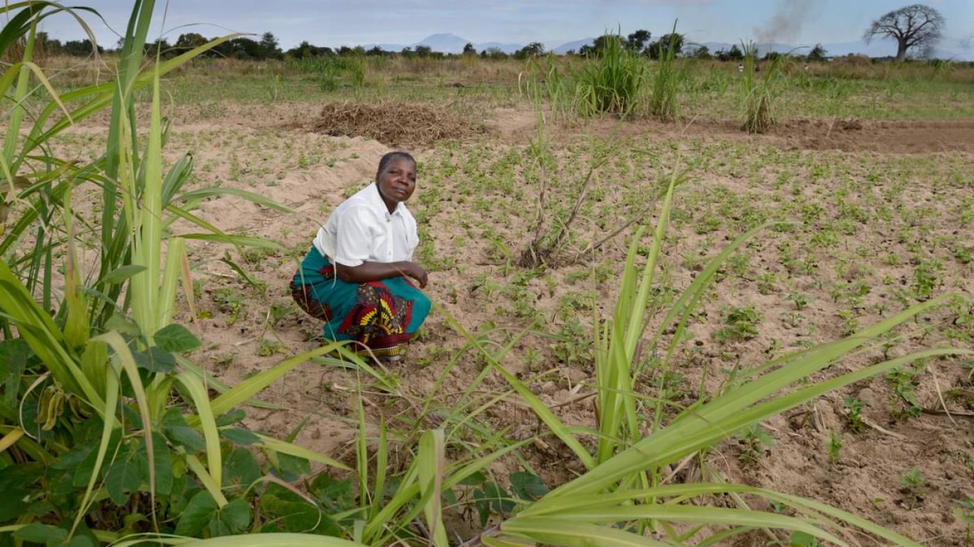 HEF Malawi Food Crisis 2024