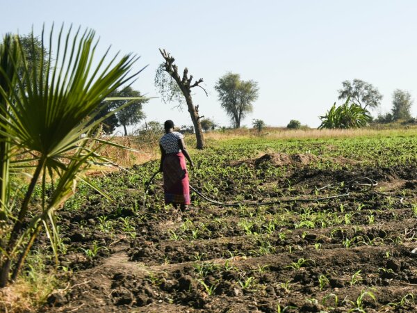 Malawi