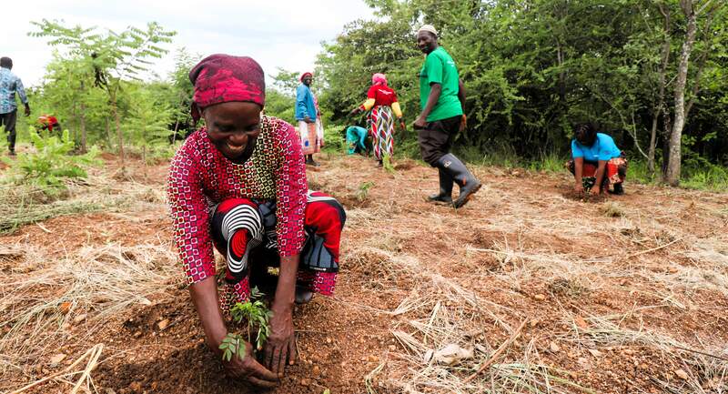 Biodiversity protection and resilient communities in Malawi | SCIAF