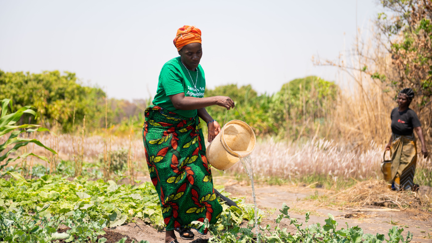 Zambia farmers
