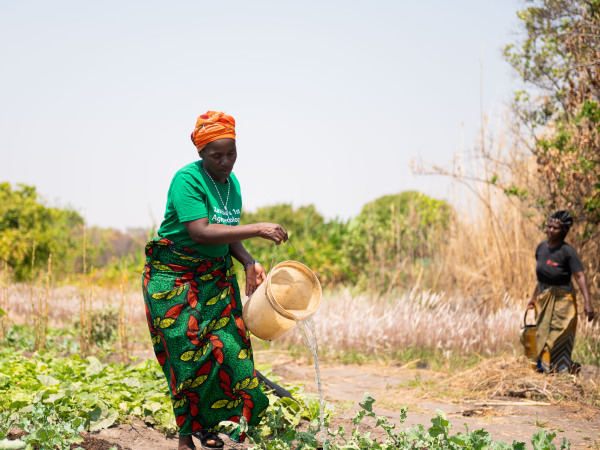 Zambia farmers