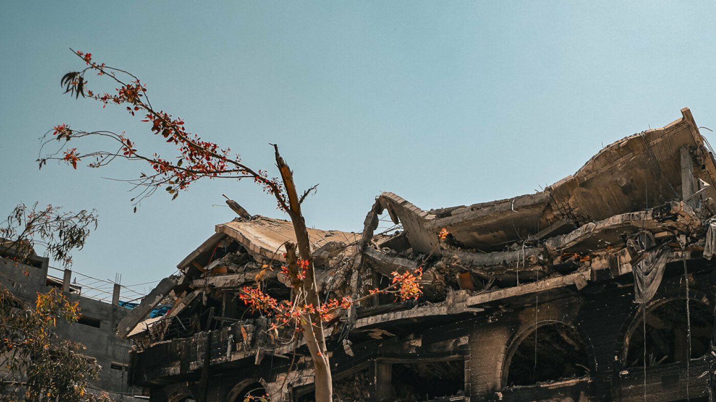 53726415237 4b9e3fad1e k