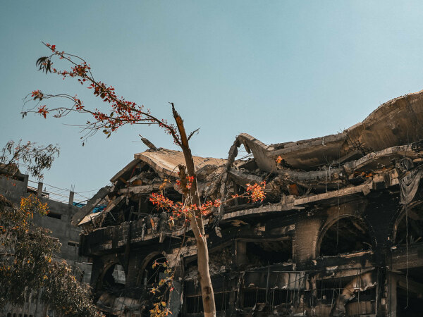 53726415237 4b9e3fad1e k